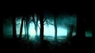 Forest Path - original song -