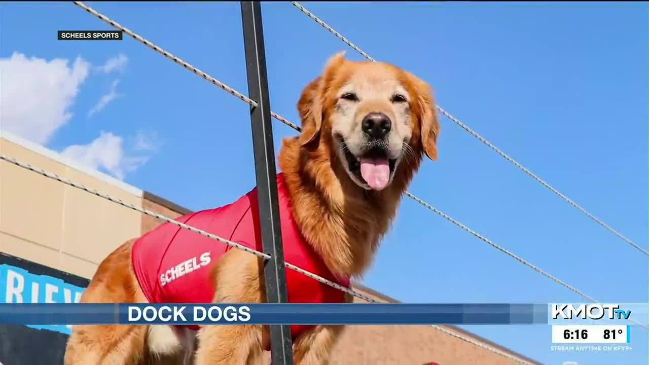 Dock Dogs set to make a splash this weekend YouTube