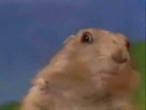 dramatic chipmunk metal gear