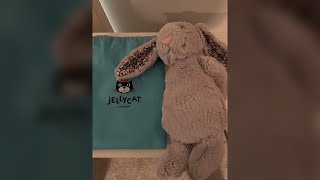 Jellycat Blossom Silver Bunny Bloom Stuffed Animal, Medium Overview ~ Is it worth it? #ad #AmazonInf