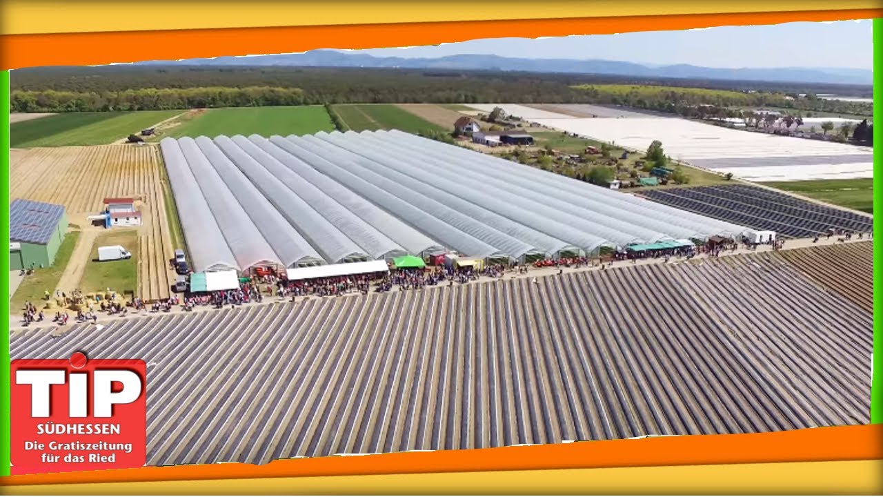 Spargelwanderung 2017 im Überflug - Lampertheim 2017