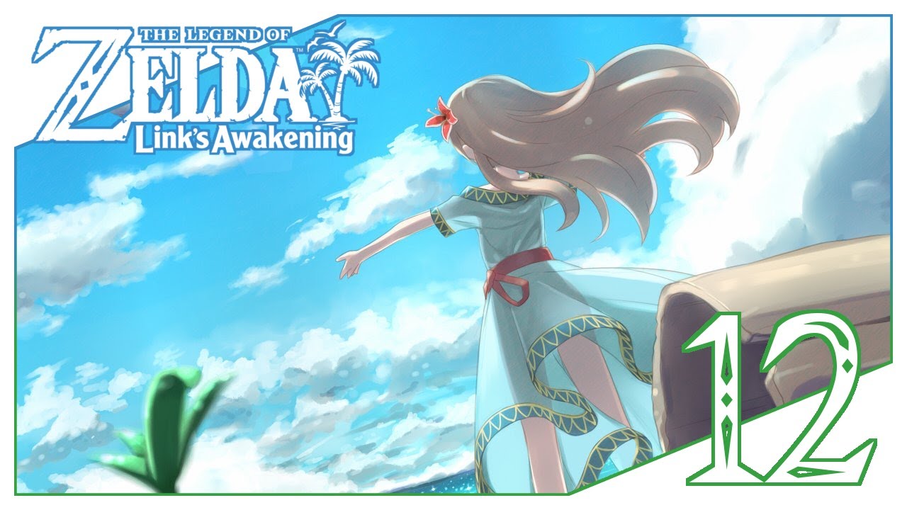 The Legend of Zelda Link's Awakening 12 Das Zoodorf YouTube