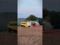 Dreschen am Abend☀️🌅 #farming #jpagrar #agriculture #landwirtschaft #claas #farmlife