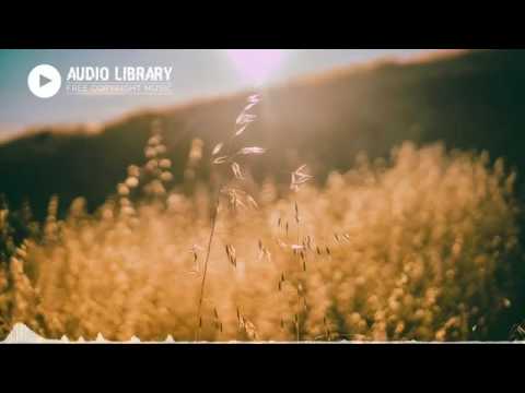 [No copyright music] PACIFIC SUN - Nicolai Heidlas Music