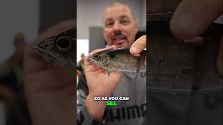 Revolutionary Glide Bait Two Baits In One