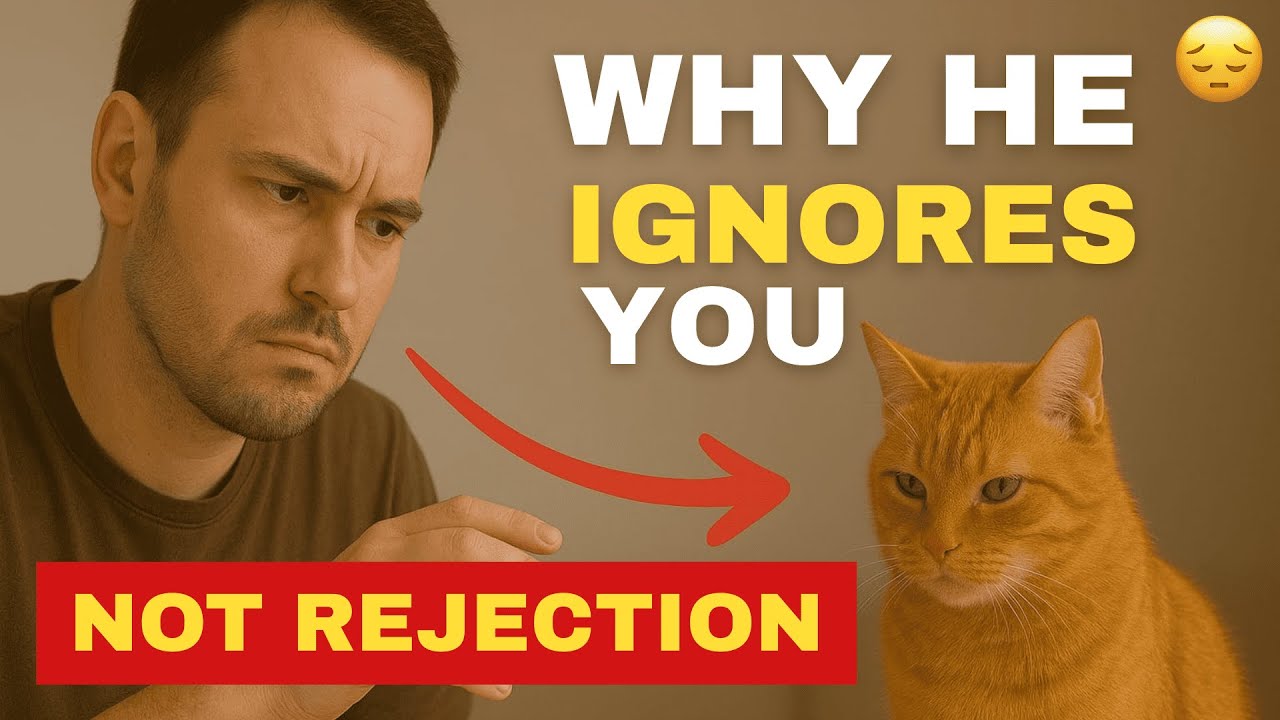 Ваш кот вас игнорирует? Он пытается вам ЭТО сказать.