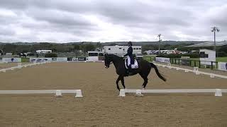 4Cyte Victorian Aor Dressage Championships 2025