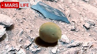 NASA Mars Rover Sent Most Incredible Footage of Mars Life? Perseverance and Curiosity rover 4K Mars NASA Mars Rover Sent Most Incredible Footage of Mars Life? Perseverance and Curiosity rover 4K Mars