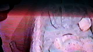 Chris Conociendo A Mi Pekeña