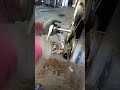 T62997