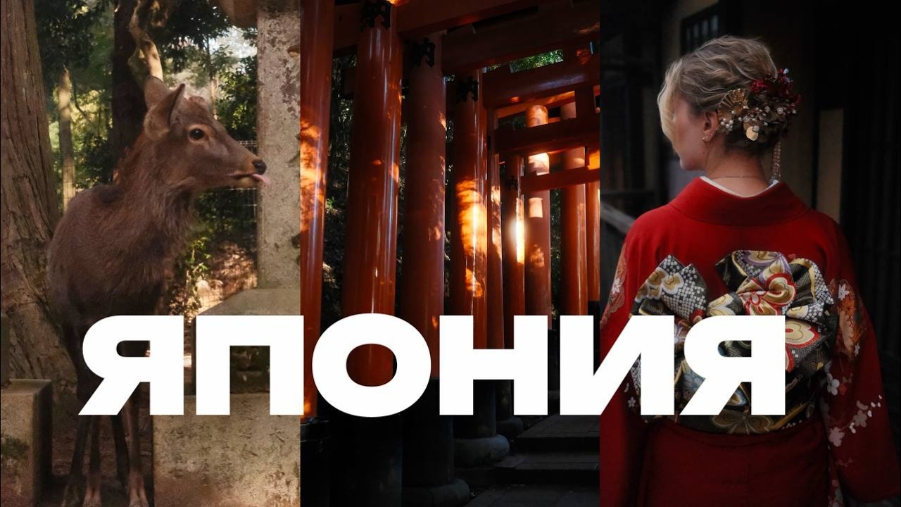 Япония мечты: девчачий трип и город с ручными оленями! Часть 1 | vlog47