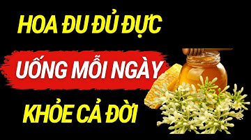 Ngừa 6 bệnh U.N.G T.H.Ư, thải độc cơ thể, Sống Khỏe Trăm Tuổi - Nếu dùng hoa đu đủ đực đúng cách!