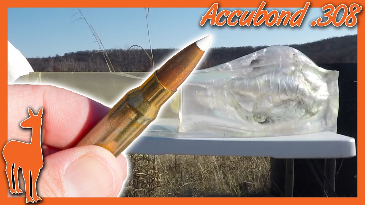Nosler Accubond 308 Winchester Ballistics Gel Test 💥 100 Yards YouTube