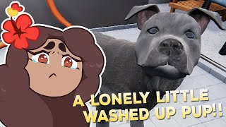 A Lonely Little WASHED-UP Pup?! 🐶🩹 Animal Shelter Simulator • #2