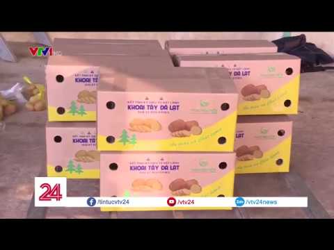 Video Đã có nhận diện thương hiệu khoai tây Đà Lạt| VTV24 - youtube
