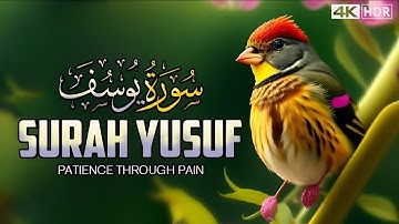 سورة يوسف كاملة بصوت القارئ يوسف الحنبلي | تلاوة هادئة