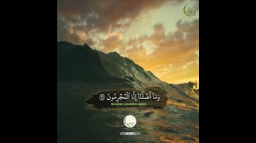 فَكُبْكِبُوا فِيهَا هُمْ وَالْغَاوُونَ | من سورة الشعراء | للشيخ أحمد النفيس | تلاوة في دقيقة
