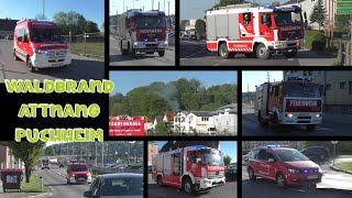 [Waldbrand🌳🔥] KDOF1&amp;2, RLF-A | FF Puchheim // MTF 2, RLF-A, TLF-A | FF Attnang (Kanaljubiläum)