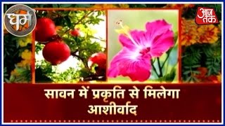 Dharm | Horoscope | August 4th, 2016