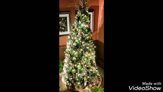 Biltmore  Evening Christmas 2018