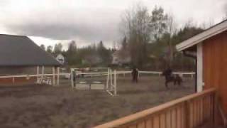 sprangtrening i går.wmv 2_0001.wmv