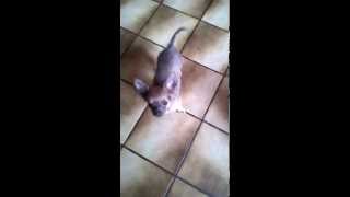 WP 20140810 20 09 26 Pro