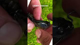 #howto rig the #berkleygilly #texasrig #southfloridafishing #fishing #fishingshorts #floridafishing