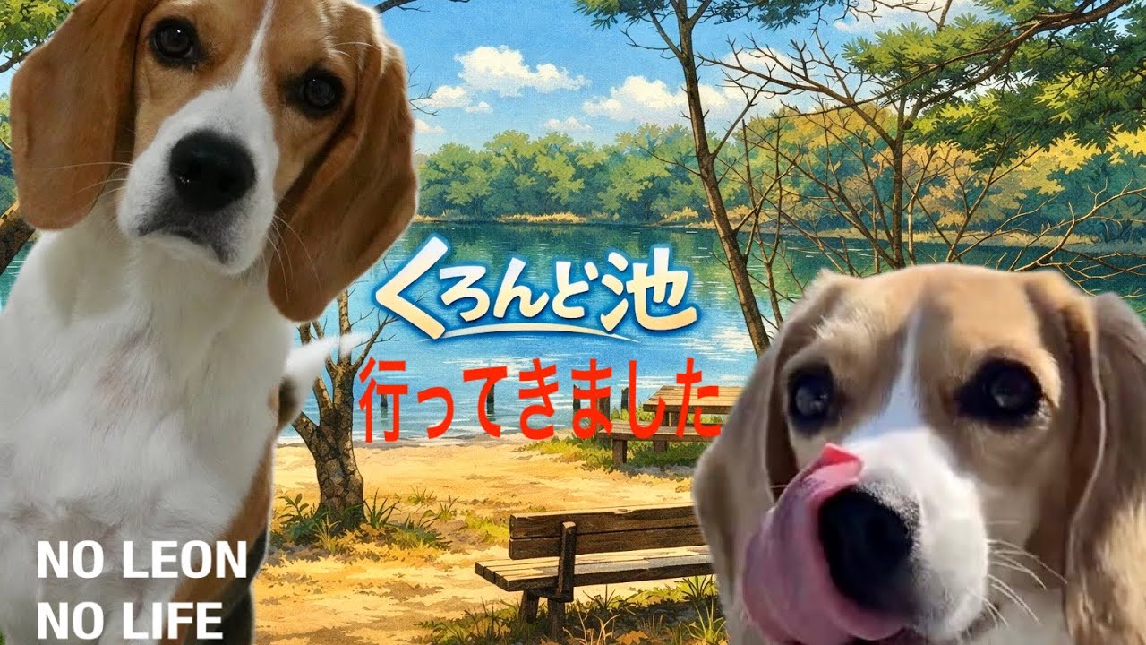 ビーグルレオンくろんど池（奈良県生駒市）に散歩に行きました