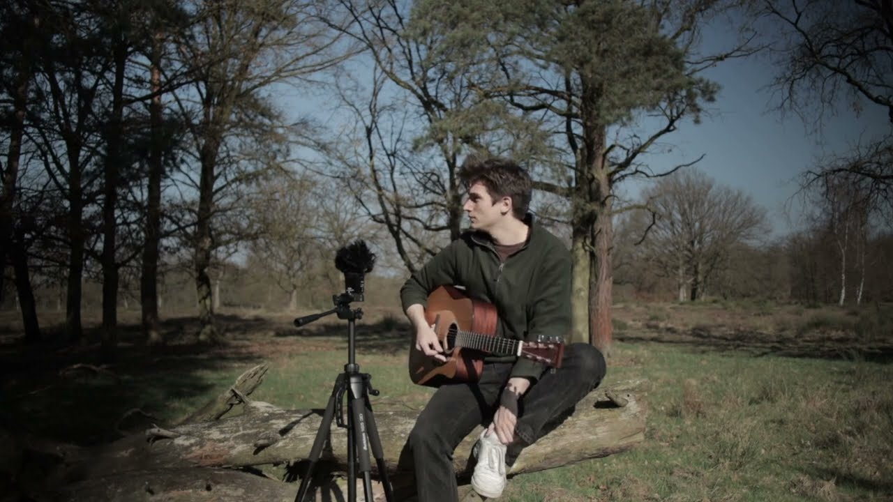 Sag mir wo die Blumen sind (Where Have All The Flowers Gone) German Version