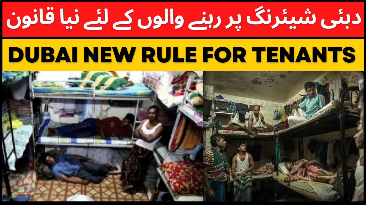 Dubai New Rule For Tenants Dubai Bed Space Dubai Room Rent YouTube
