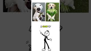 Part 2 | Whats the difference between these terms #shorts