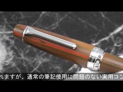 SAILOR セーラー 万年筆 プロフェッショナルギア マーブルエボナイト