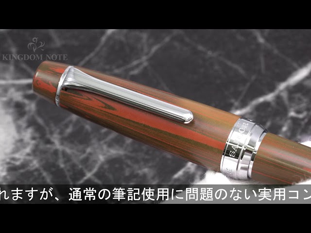 SAILOR セーラー 万年筆 プロフェッショナルギア マーブルエボナイト