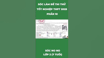 Giải thích câu 2 trong đề thi thử tốt nghiệp THPT 2025 bằng tiếng Việt