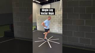 Vector Hops/Jumps (double leg, single leg, 1-1)