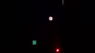 Download Lagu #terehawaalekardiya #moonlovers  #fyp #foryou #trending #trending #love #viral #foryou #song#tiktok MP3