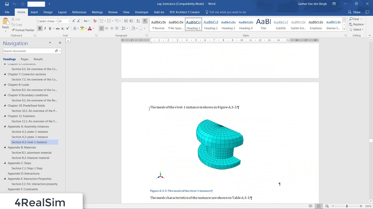 cae report generator