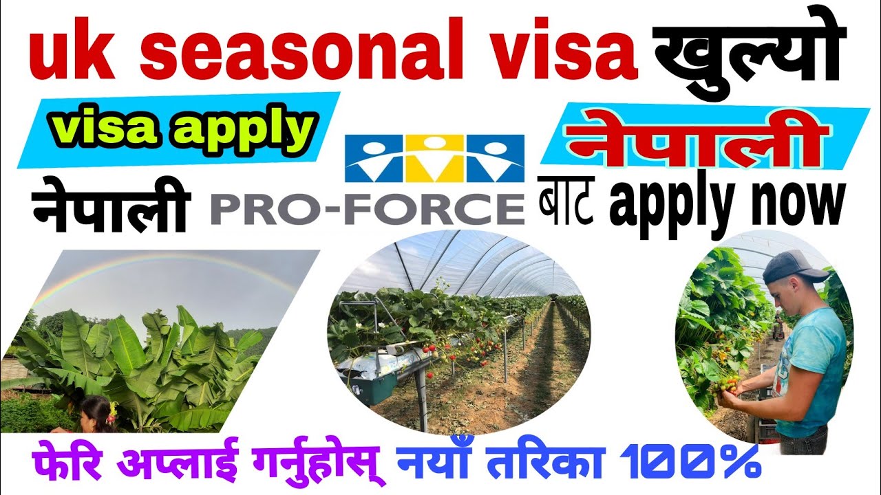 uk-visa-update-2023-ll-hou-to-apply-uk-seasonal-visa-pro-force-ll