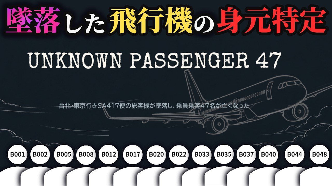 「乗客全47名が亡くなった墜落事故」で発見された48名の遺体の身元を、わずかな情報から特定していくオブラディンライクの推理ゲーム【UNKNOWN PASSENGER 47】(単発)