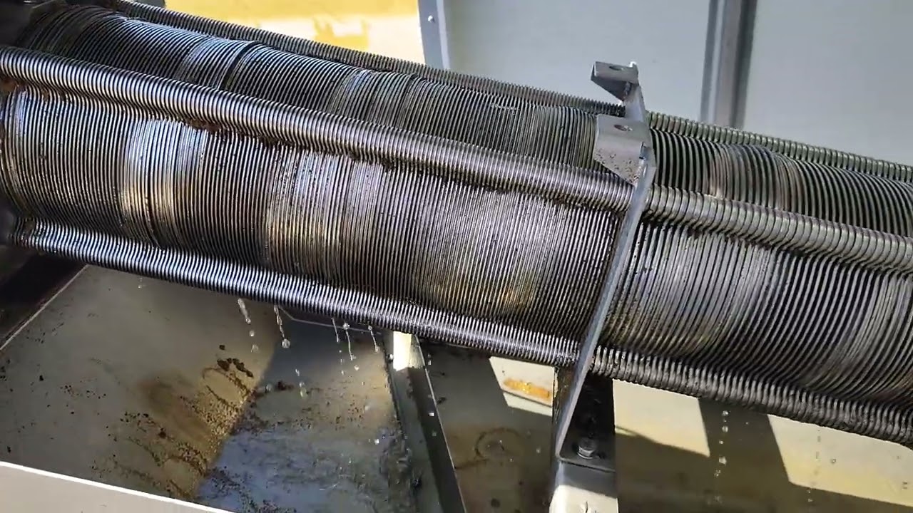 Pistachio, Central valley 