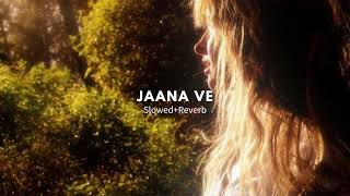 Jaana Ve Full Video Song - Aksar 2 Arijit Singh,Mithoon Zareen Khan,Abhinav Bollywood Song