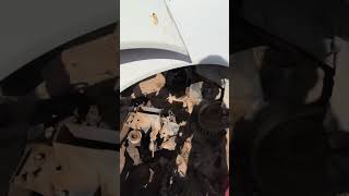 #junkyard #nissan #armada #mechanic #broken #easy