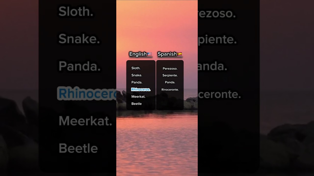 Animal Vocabulary in Spanish 