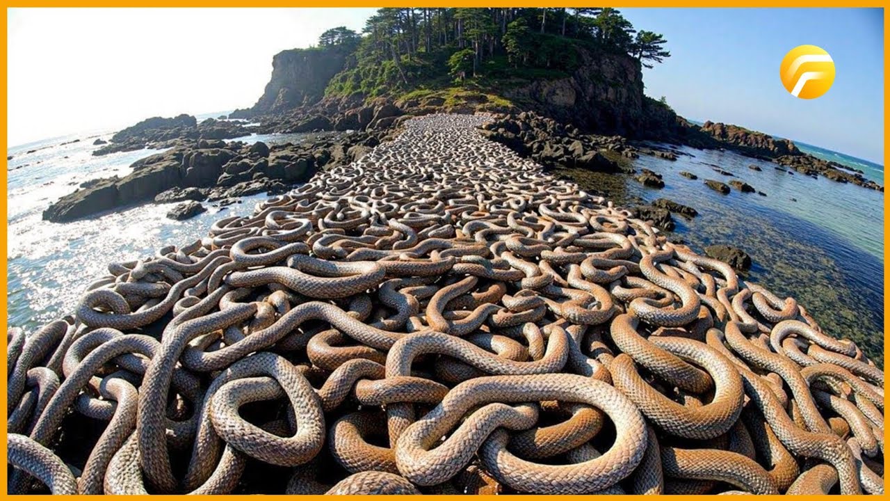 SEHEMU HATARI DUNIANI ☠️… KIFO KIPO KARIBU YANI UKIFANYA UZEMBE TU UNAPOTEZA MAISHA