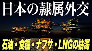 【日本の危機】隷属外交が石油・食糧・ナフサ・LNGの枯渇を招く(アリベイ×石田和靖)