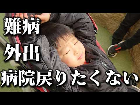 [Fighting Illness] Third Outing to the Animal Kingdom! "I don't want to go back to the hospital":...