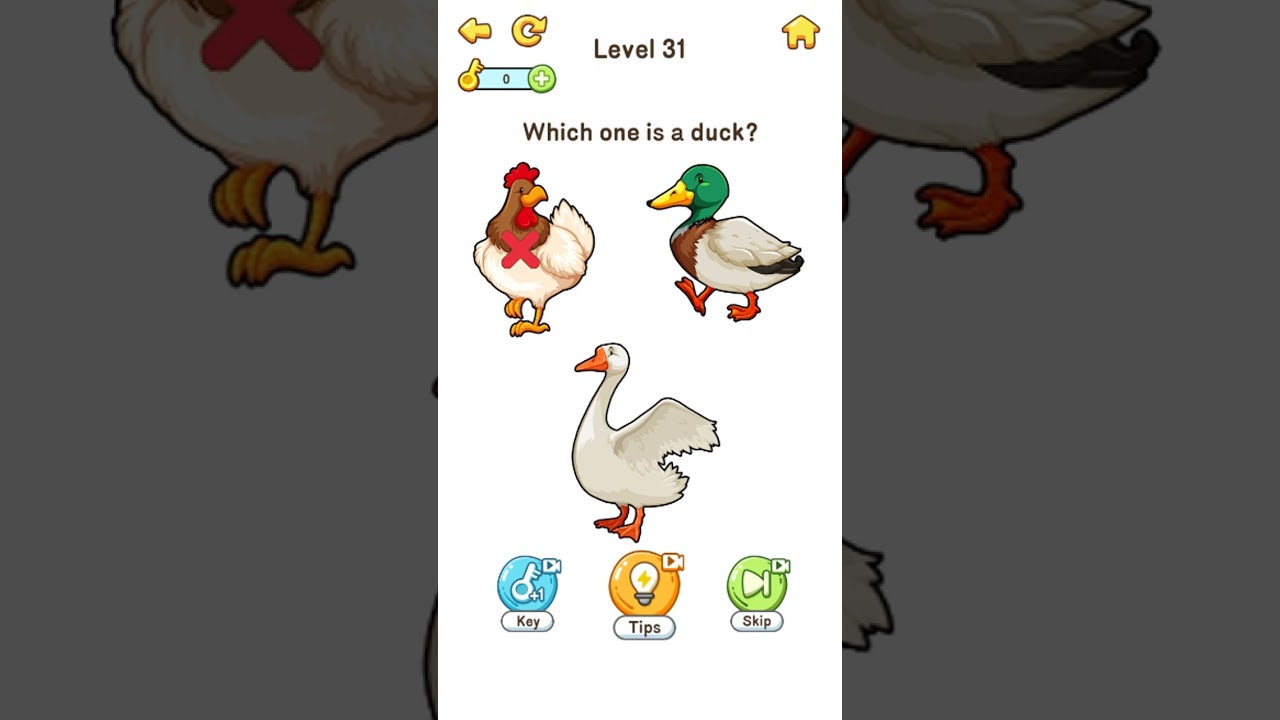 Brain Go 3 🧠All Levels ANSWERS 