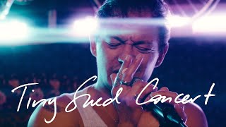 Shaun Finn: Tiny Shed Concert - 