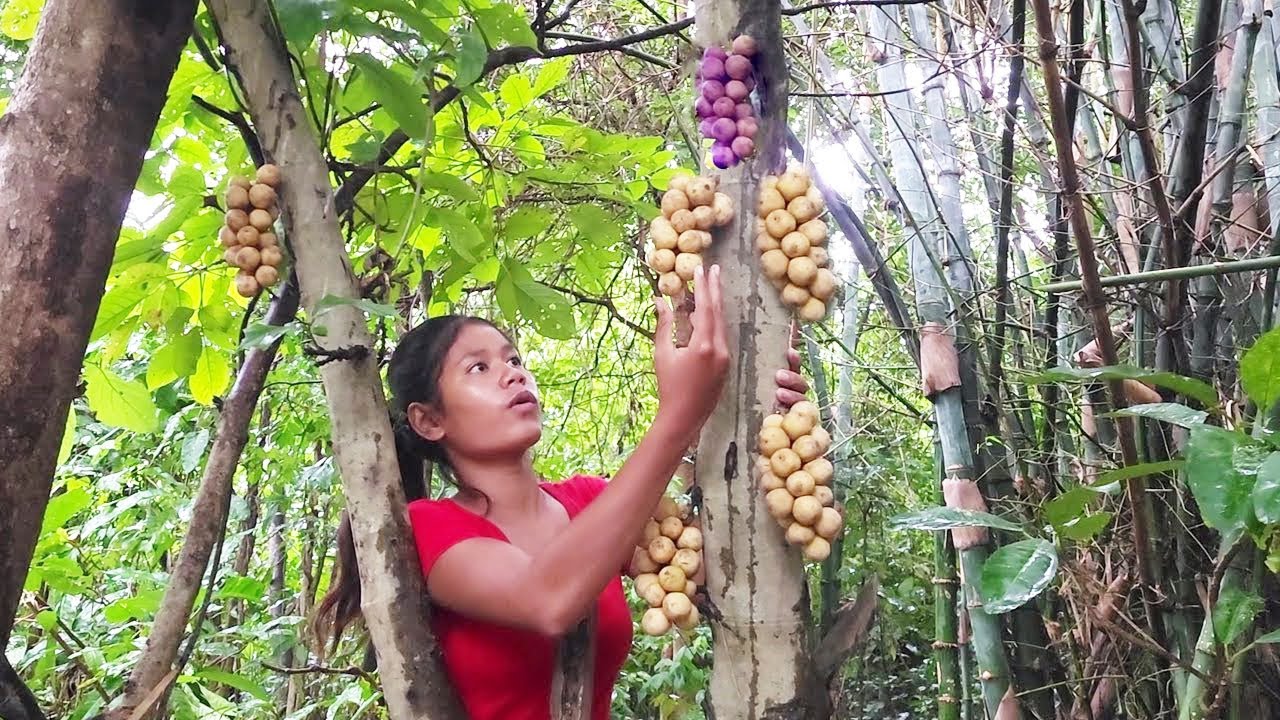 Thatha picking the ripened veggies