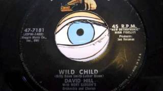 David Hill - Wild Child chords